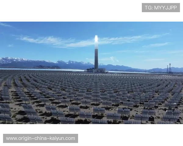 太阳深度成最大竞争力，引领新能源未来